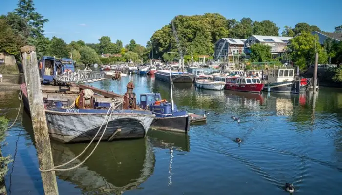 Eel Pie Island on the River Thames featuring trees, muddy banks, and creative studios.